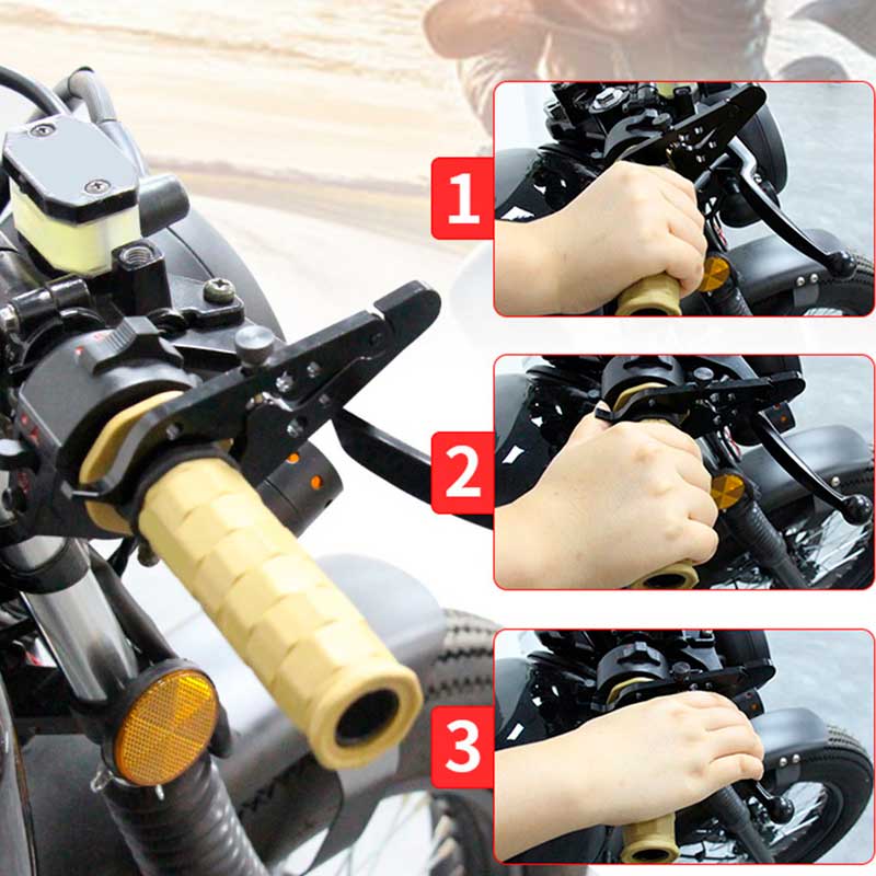 Control Crucero - Imagen 3